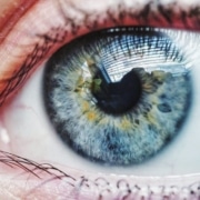 distacco di retina - CAMO - Centro Ambrosiano Oftalmico